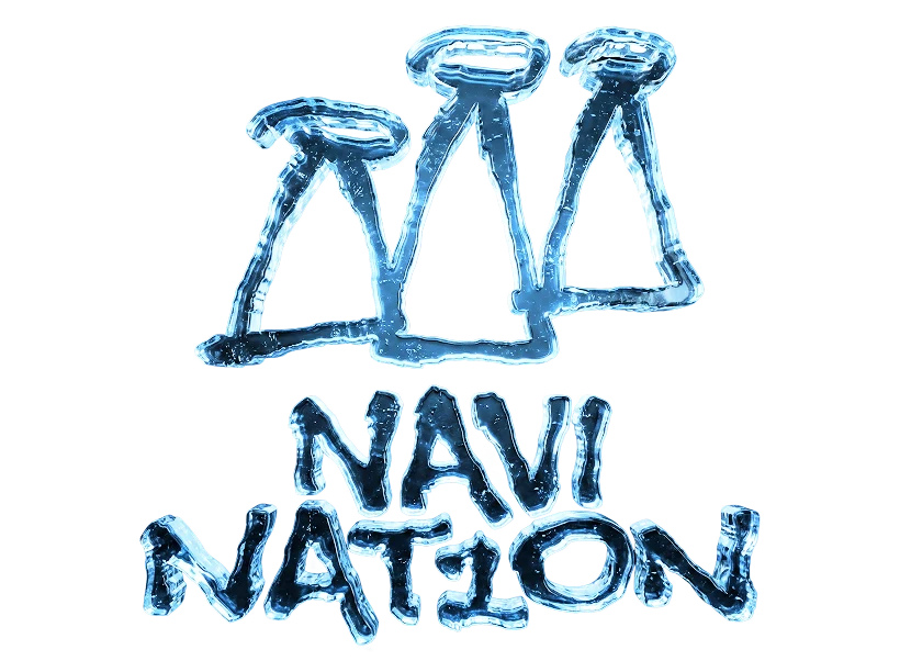 NAVINATION